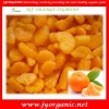 Organic frozen orange