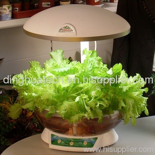 Smart Garden can fish in the fish tank a variety of plants can be grown. can be used as a table lamp