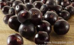 China acai extract