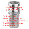 ss hose coupling