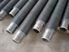 high frequency spiral welded finned tube for oil cooler