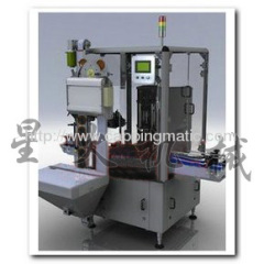 Double Heads Automatic Vacuum Capping Machine