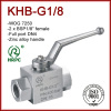 Hydraulic female 2 x 1/8&quot; BSP thread 2 way full port ball valves 7250 WOG