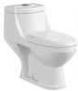 Washdown One Piece Toilet/Toilet Bowl/Flush Toilet