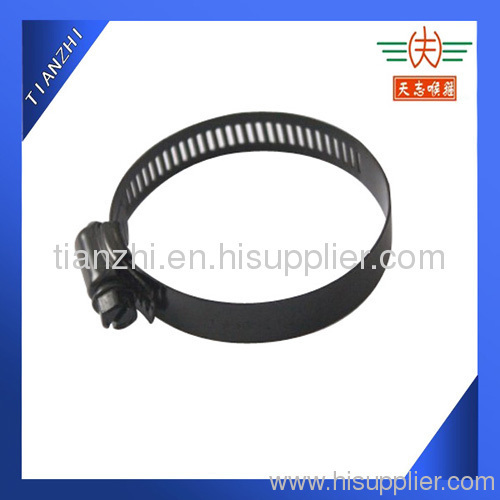 black worm drive hose clamp