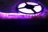 Purple Led Strips, SMD 5050 Outdoor Strip Lights, Waterproof Decorative Strip Lighting