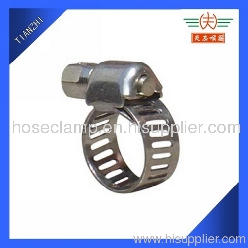Extended Band Hose Clamp