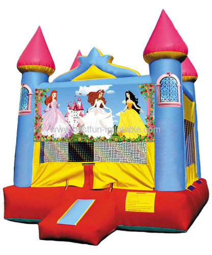 Princess Blue Castle For Sale