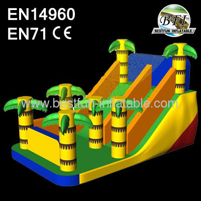 Backyard Dry Inflatable Palm Slide
