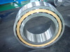 Carb Toroidal Roller Bearings