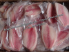 Offer China Frozen Tilapia Fillet (Oreochromis Niloticus, Oreochromis Mossambicus)