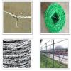 barbed iron wire/razor wire