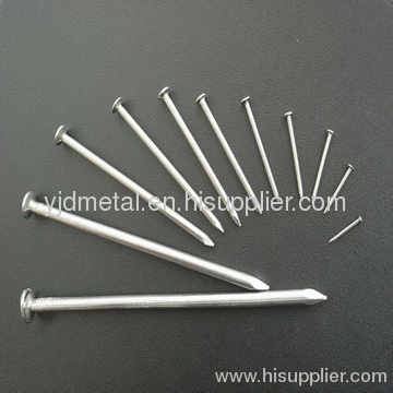 polished/galvanized common iron nail