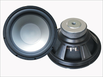 Dual 10Active Car Subwoofer