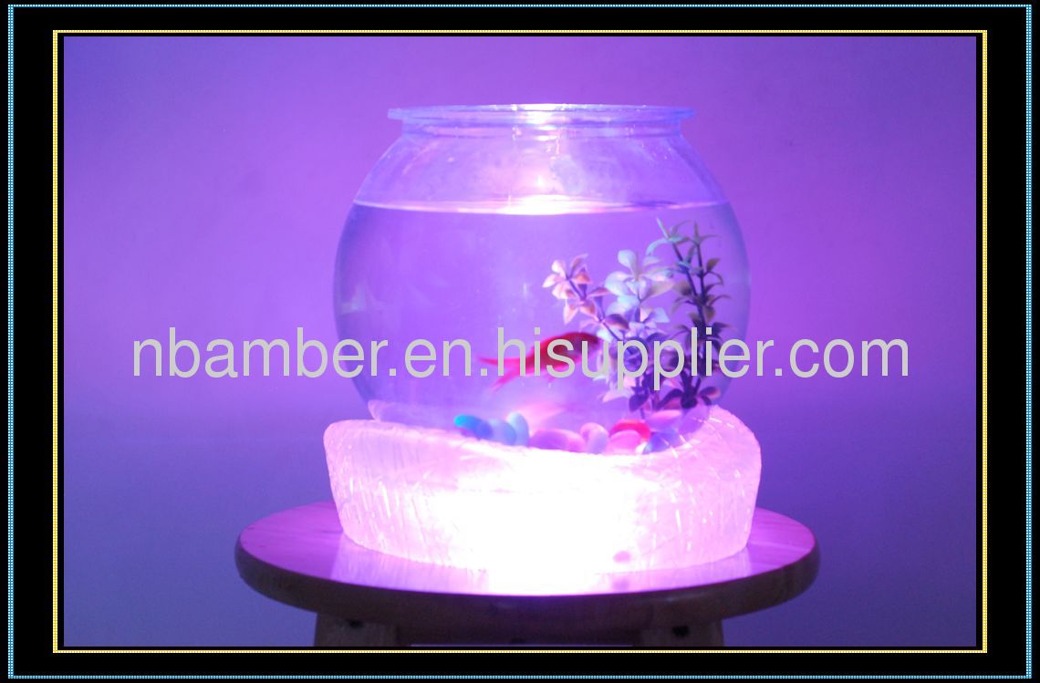 fish jar withnestbase