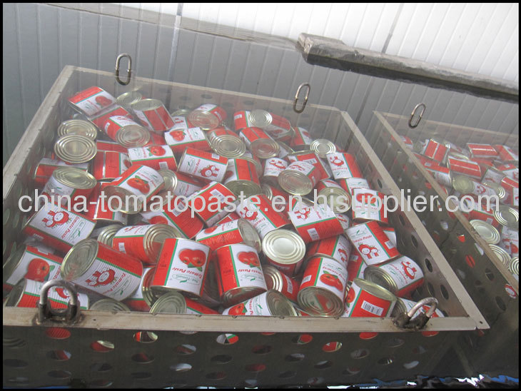 28-30%canned tomato pure to north america market