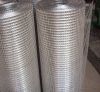 Welded wire mesh /Galvanized coat wire mesh