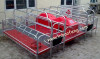 New Design Farrowing crate for pig raising equipment