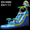 Inflatable Fancy Water Slide