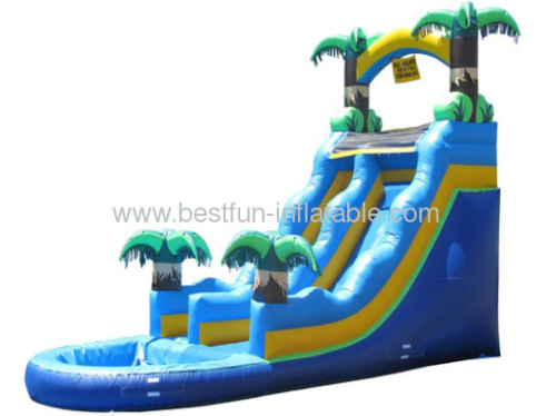 Inflatable Fancy Water Slide