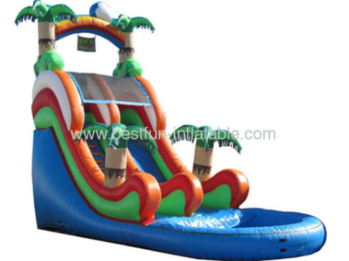 Palm Tree Water Slide