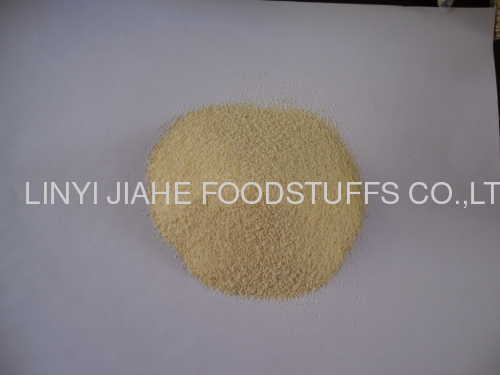 dehydrated garlic granule 26-40 mesh first grade G2 HACCP AND kosher and FDA certified