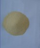 dehydrated garlic granule 40-60 mesh first grade G1 without root 2013 new crop