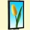 FLV, MP4 AC 110V - 240V Calendar Dustproof 32 Inch Wall Mount LCD Display For Apartments M3203D-W
