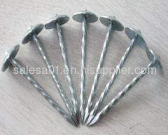 Umbrella Roofing Nails/Roofing nails with umbrella head