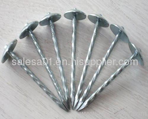 Umbrella Roofing Nails/Roofing nails with umbrella head