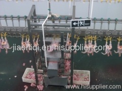 poultry processing plant chicken broiler duck