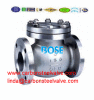 A890 Grade 4A/5A/6A flanged check valve