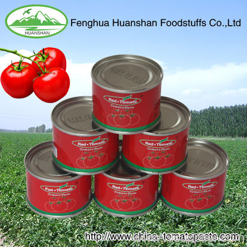 Canned Tomato Paste 70G double concentrate brix 28-30%