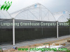 Economical Saw Tooth Greenhouse