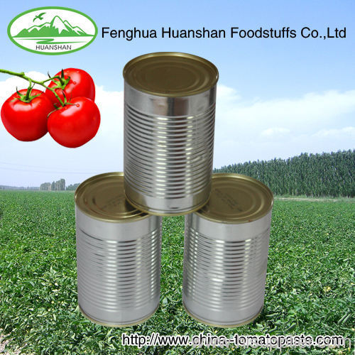 First Class quality tomato paste for america market