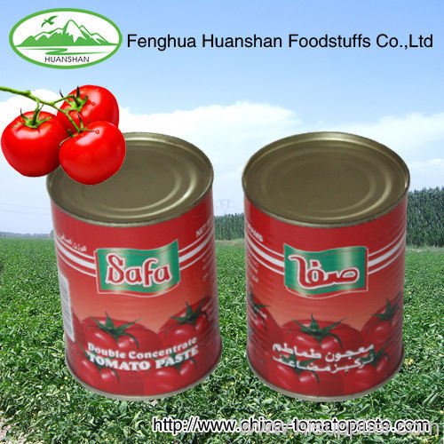 28-30%canned tomato pure to north america market