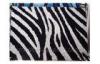 Zebra Pattern Black And White Polyester Contemporary Shaggy Rug, Floor Area Rugs