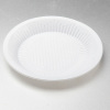 Natural ecofriendly plastic plates