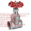 Stainless Steel Gate Valve