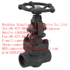 Forged Steel Gate Valve