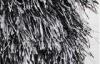 Polyester 1200D Soft Silky Pile Rug, Black / White Shaggy Silk Rugs Customized
