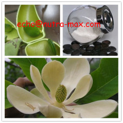 Griffonia Seed Extract 98% 5-HTP Powder