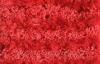 Contemporary Polyester Shaggy Pile Rug, Red Solid Color Rugs, Modern Home Carpet