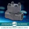 API6D API594 ASME B16.34 API598 API6D ASME B16.10 API6D Forged Steel Check Valve