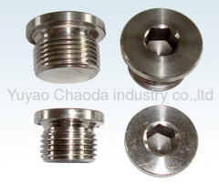 NPT MALE HOLLOW HEX PLUG