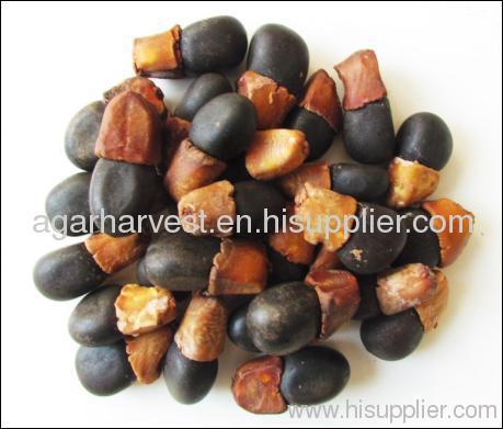 Afzelia xylocarpa Kurz Craib - Teak seeds, Black wood, Siamese Rosewood, Rosewood - Agarharvest