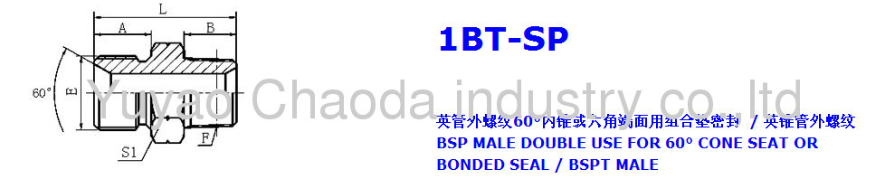 BSP MALE DOUBLE USE FOR 60° SEAT OR BONDED SEAL /BSPT MALE