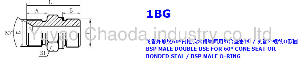 BSP MALE DOUBLE USE FOR 60°SEATOR BONDED SEAL/BSP MALE O-RING