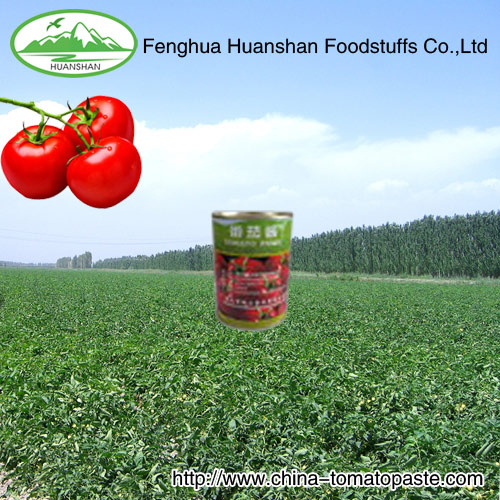 printing tincanned packing tomato paste