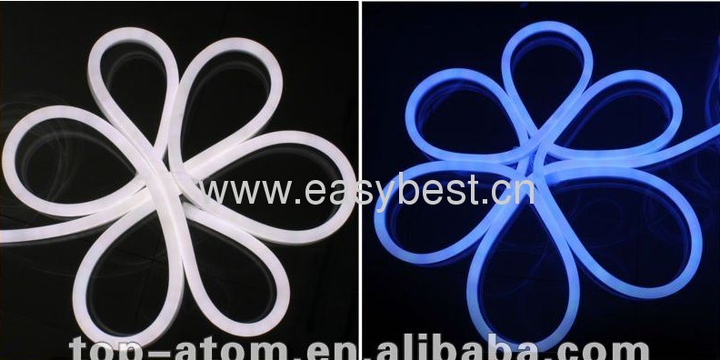24v input voltage flexible neon flexible light for house decoration